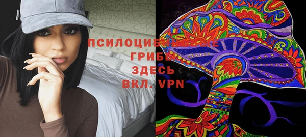 гашиш Бородино