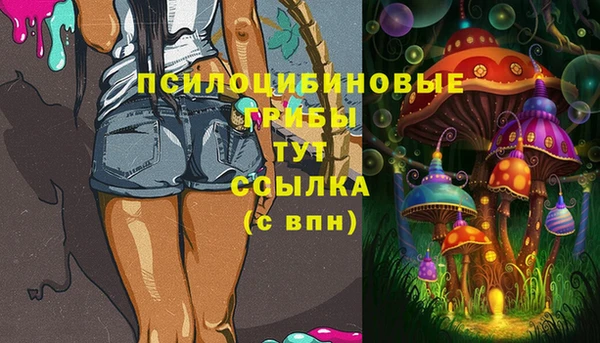 гашиш Бородино