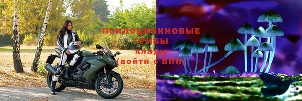 гашиш Бородино